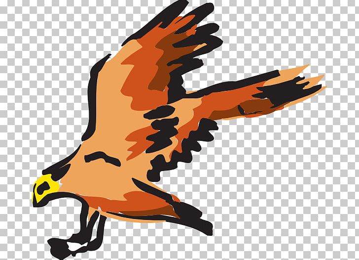 Bird Bald Eagle Red PNG, Clipart, Bald Eagle, Beak, Bird, Bird Flight, Bird Of Prey Free PNG Download