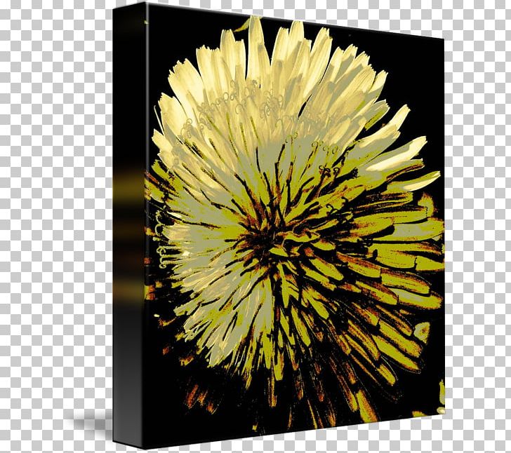 Dandelion Stock Photography Sunflower M Chrysanthemum PNG, Clipart, Chrysanthemum, Chrysanths, Daisy Family, Dandelion, Flora Free PNG Download