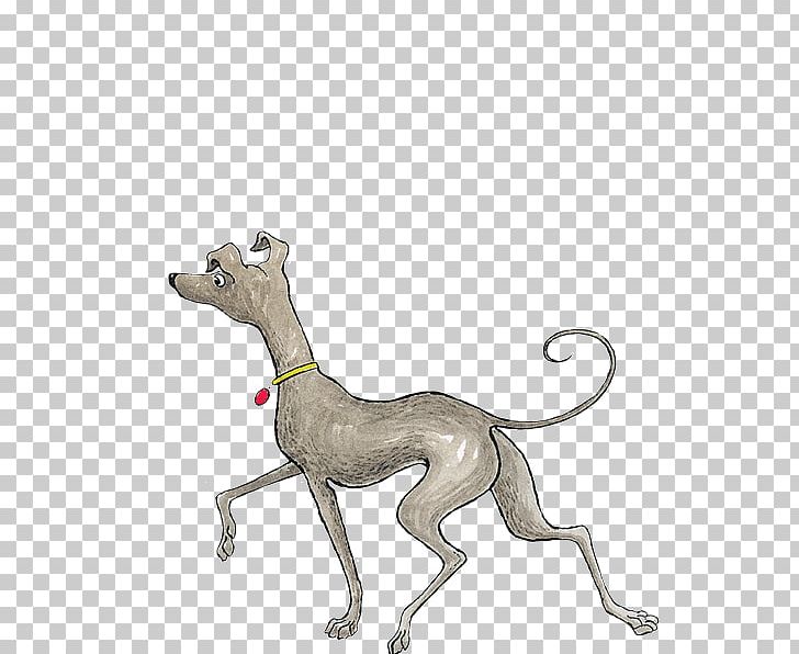 Italian Greyhound Whippet Hairy Maclary From Donaldson's Dairy PNG, Clipart, Bitzer Maloney, Book, Carnivoran, Dog, Dog Breed Free PNG Download
