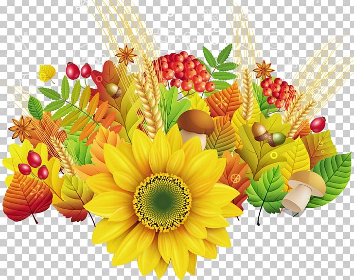 Morning Daytime Autumn Mood Internet PNG, Clipart, Autumn, Chrysanths, Cut Flowers, Daisy Family, Daytime Free PNG Download
