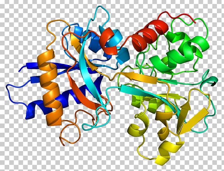 Transferrin Receptor Protein Lactoferrin Iron PNG, Clipart, Beta2 Transferrin, Blood, Blood Plasma, Blood Proteins, Body Jewelry Free PNG Download