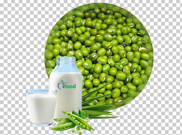 Bánh Chưng Mung Bean Food Nộm PNG, Clipart, Banh, Bean, Bean Sprout, Cellophane Noodles, Che Free PNG Download