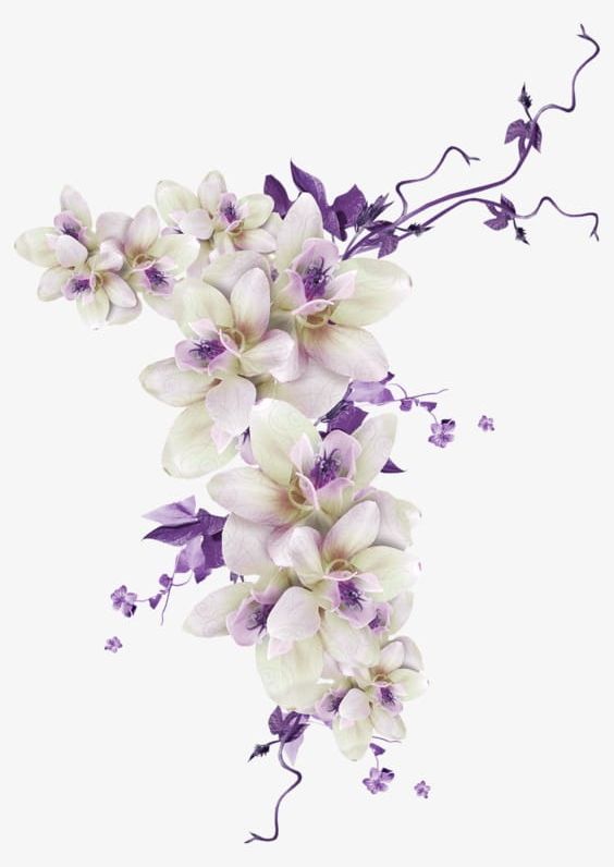 Flowers PNG, Clipart, Flowers, Flowers Clipart, Leaf, Petals, Purple Free PNG Download