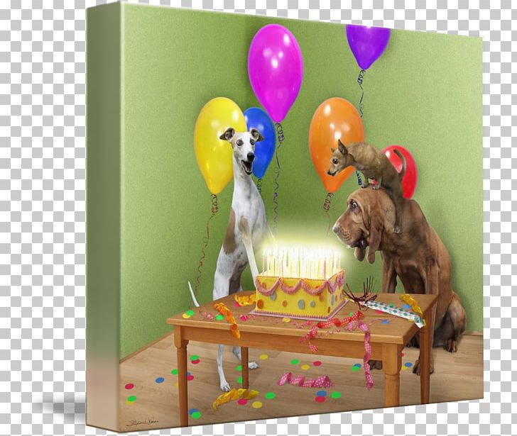 Happy Birthday Wish Gift Party PNG, Clipart, Birthday, Bloodhound, Gift, Greeting, Happiness Free PNG Download