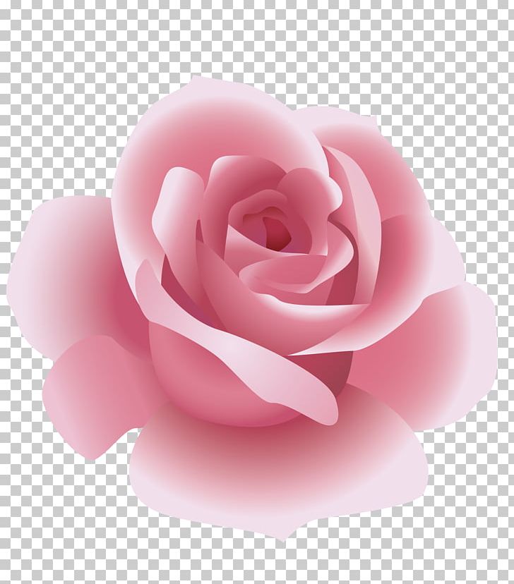 Rosxe9 Rose PNG, Clipart, Cartoon Flowers, Cartoon Roses, Closeup, Drawing,  Euclidean Vector Free PNG Download