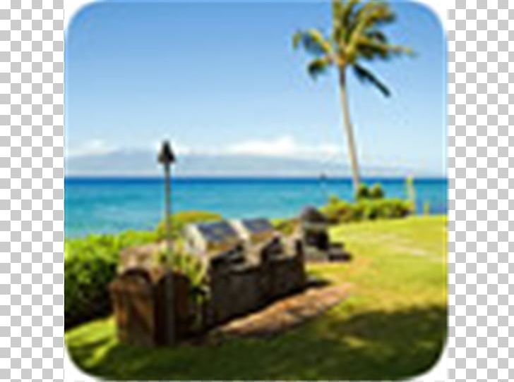 Caribbean Vacation Tropics Tourism Sky Plc PNG, Clipart, Beach, Caribbean, Coast, Grass, Hawaiian Islands Free PNG Download