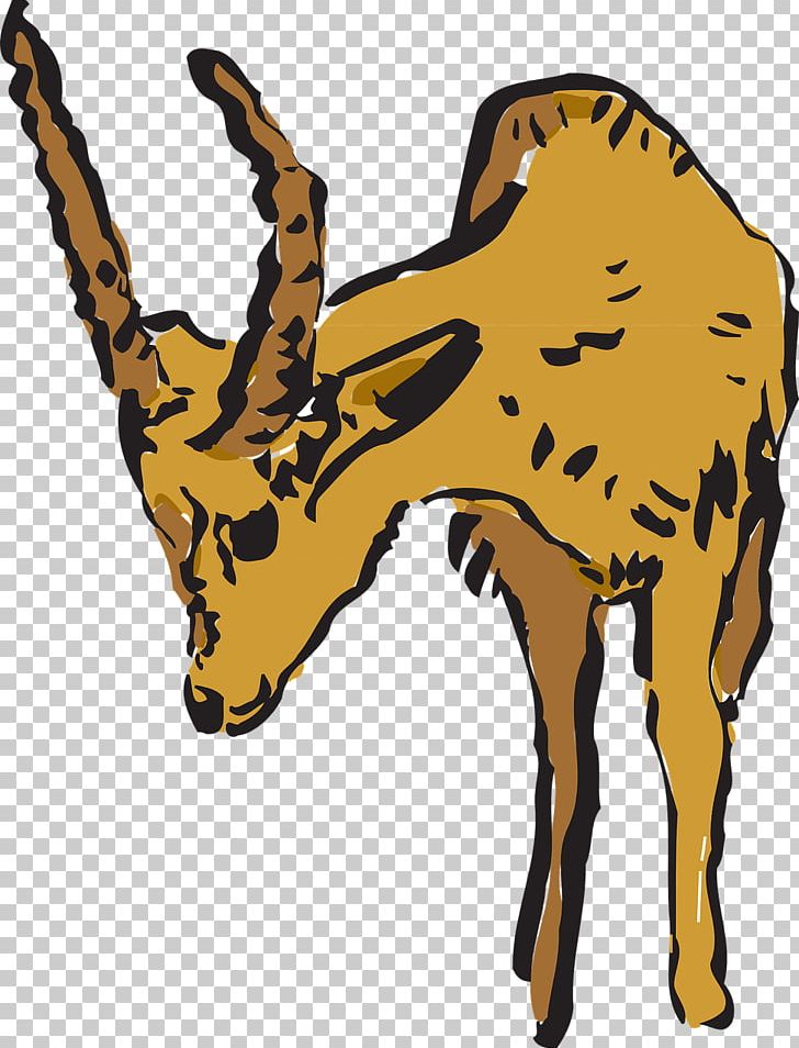 Giraffe Antelope Canyon Pronghorn PNG, Clipart, Animal Figure, Animals, Antelope, Antelope Canyon, Antler Free PNG Download