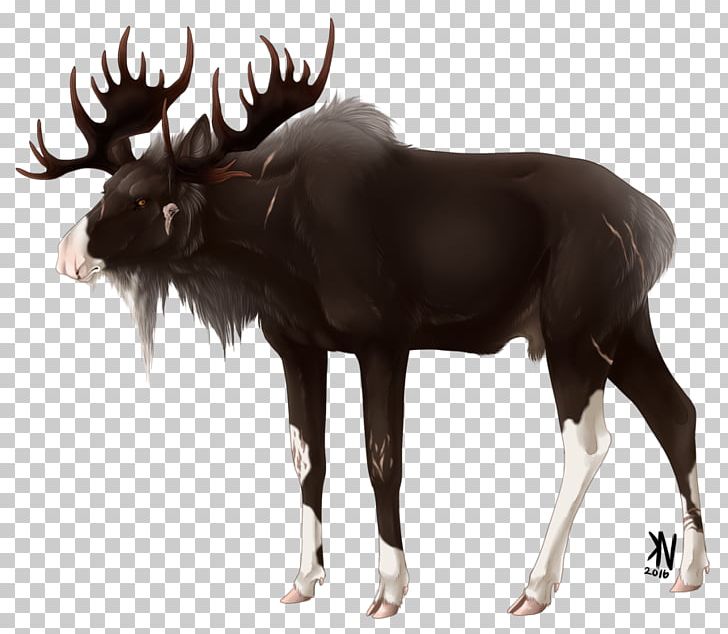 Moose Reindeer Cattle Antler Wildlife PNG, Clipart, Animal, Antler, Cattle, Cattle Like Mammal, Deer Free PNG Download