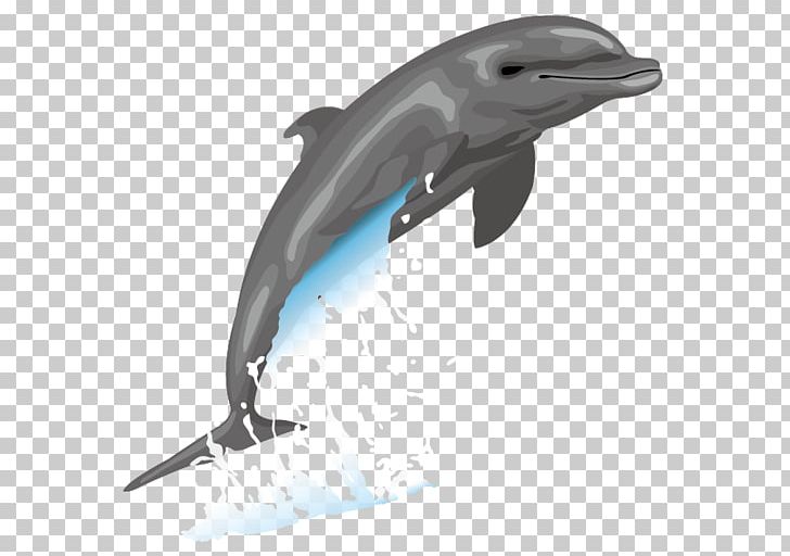 Dolphin Free Content Drawing PNG, Clipart, Animals, Cartoon, Cute Dolphin, Dolphine, Dolphins Free PNG Download