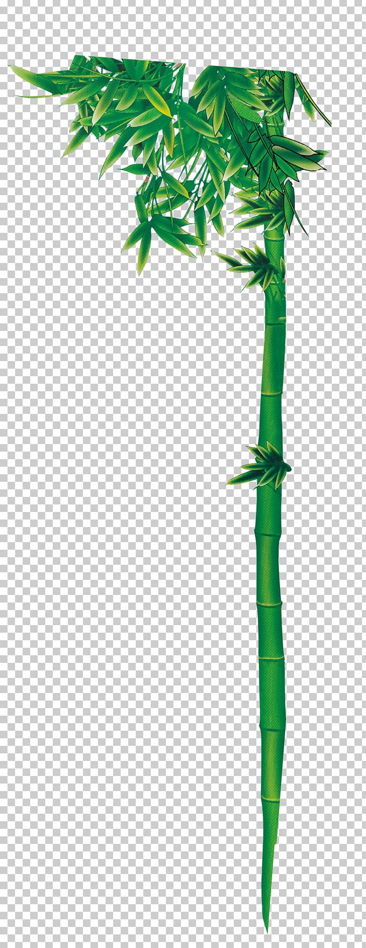 Drawing Bamboo Sketch PNG, Clipart, Arts, Bamboo Pictures, Bamboo Sketch, Branch, Computer Icons Free PNG Download
