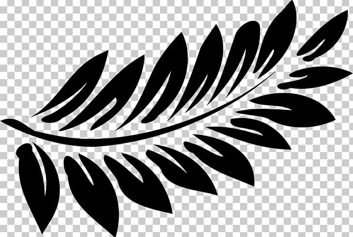 Fern Leaf PNG, Clipart, Art, Black, Black And White, Branch, Conch Free PNG Download