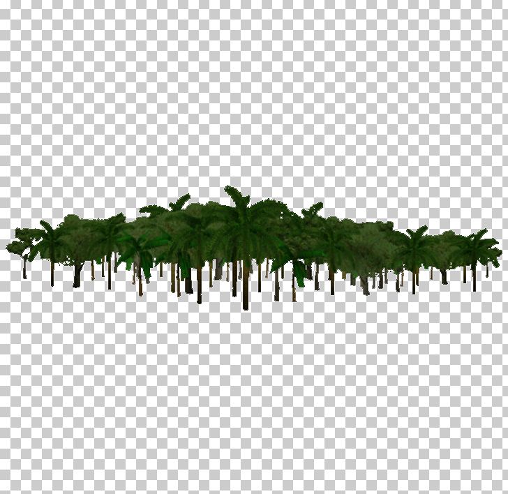 Jungle PNG, Clipart, Background, Display Resolution, Download, Grass, Green Free PNG Download