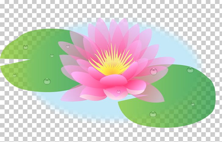 Photography Summer Altar 0 PNG, Clipart, 2016, 2017, Altar, Annual Plant, Aquatic Plant Free PNG Download