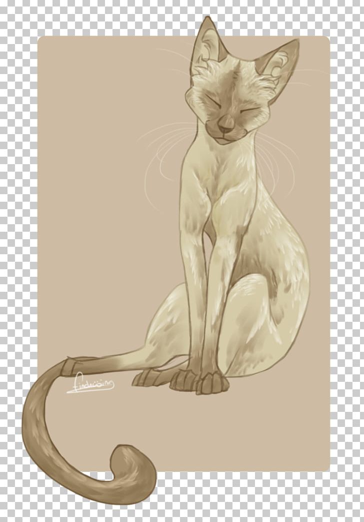 Whiskers Kitten Siamese Cat Sphynx Cat PNG, Clipart, Art, Carnivoran, Cat, Cat Like Mammal, Deviantart Free PNG Download