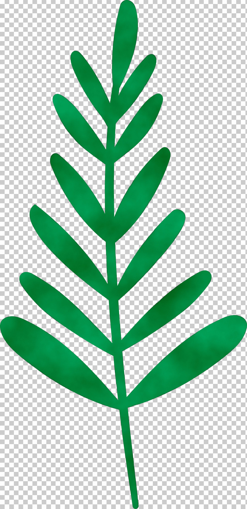 Leaf Plant Stem M-tree Line Lawn PNG, Clipart, Biology, Lawn, Leaf, Line, Mtree Free PNG Download