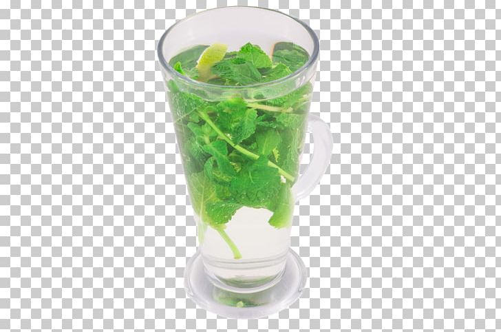 Health Shake Mojito PNG, Clipart, Chanh Leo, Drink, Glass, Health, Health Shake Free PNG Download