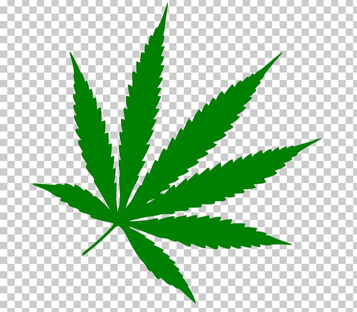 Medical Cannabis Leaf 420 Day Stoner Film PNG, Clipart, 420 Day, Cannabis, Dispensary, Fotolia, Hemp Free PNG Download