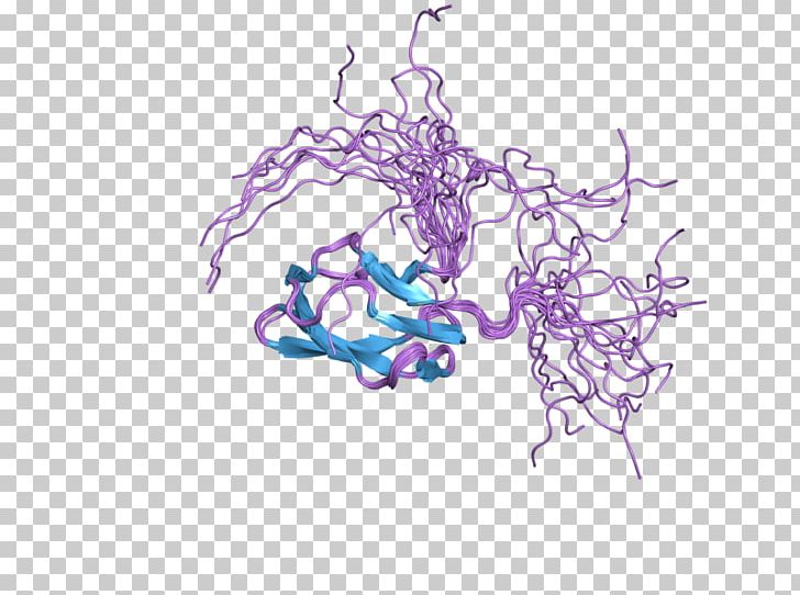 ACACB Acetyl-CoA Carboxylase Carnitine Palmitoyltransferase I Carboxylation Protein PNG, Clipart, Acetylcoa Carboxylase, Art, Carboxylation, Carnitine Palmitoyltransferase I, Drawing Free PNG Download