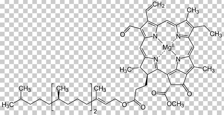 Chlorophyll A Photosynthesis Light-dependent Reactions Biological Pigment PNG, Clipart, Algae, Angle, Area, Auto Part, Biological Pigment Free PNG Download