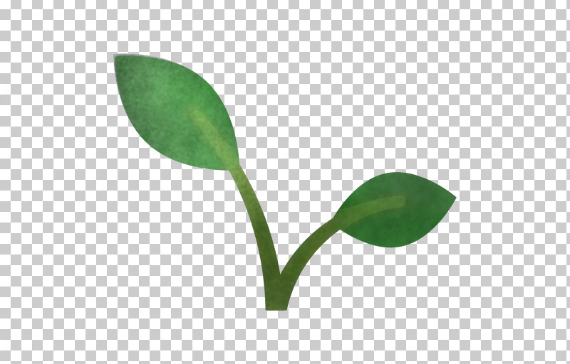 Leaf Plant Stem Photosynthesis Plant Reproduction Transpiration PNG, Clipart, Biology, Chloroplast, Flower, Grasses, Leaf Free PNG Download