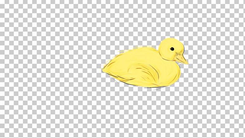 Duck Yellow Beak PNG, Clipart, Beak, Duck, Paint, Watercolor, Wet Ink Free PNG Download