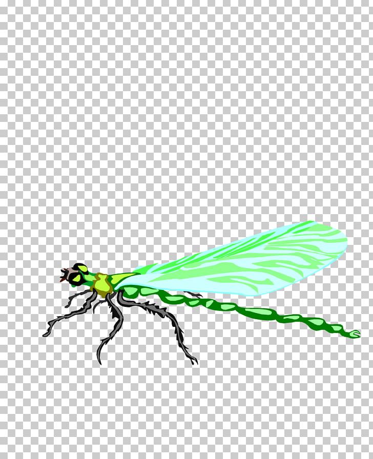 Dragonfly Insect Animation PNG, Clipart, Animal, Animation, Arthropod, Ball, Cartoon Free PNG Download
