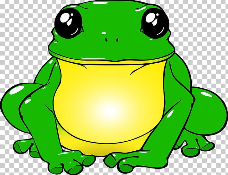 Edible Frog Toad Frog Mug Tree Frog PNG, Clipart, Amphibian, Animal, Animals, Artwork, Button Free PNG Download