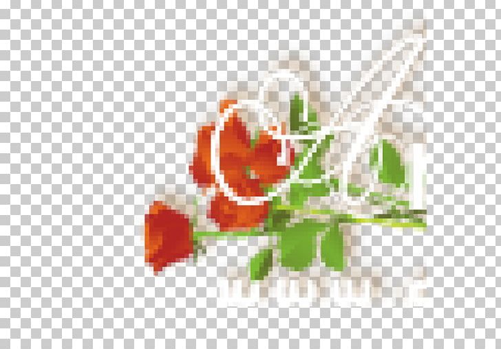 Flower Garden Roses Floral Design Rosaceae PNG, Clipart, Computer, Computer Wallpaper, Desktop Wallpaper, Floral Design, Flower Free PNG Download