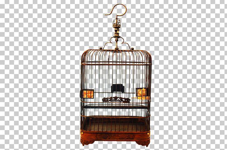 Lighting 4K Resolution PNG, Clipart, 4k Resolution, Bai, Bird, Bird Cage, Cage Free PNG Download