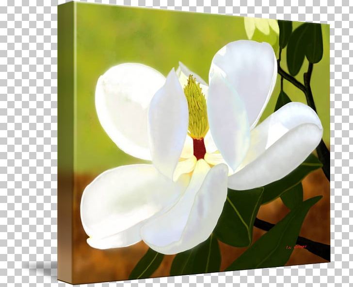 Moth Orchids Art Digital Painting Photo Manipulation PNG, Clipart, Art, Blossom, Digital Painting, Flower, Flowering Plant Free PNG Download