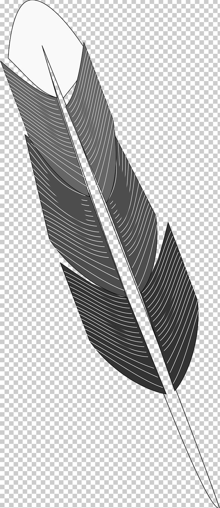 Bird Feather Drawing PNG, Clipart, Animals, Bird, Black And White ...