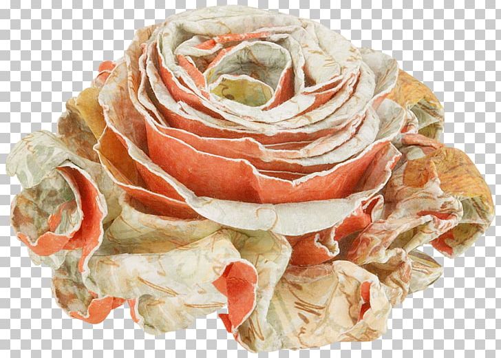 Garden Roses Flower Paper PNG, Clipart, Align, Animation, Blog, Cut Flowers, Download File Free PNG Download