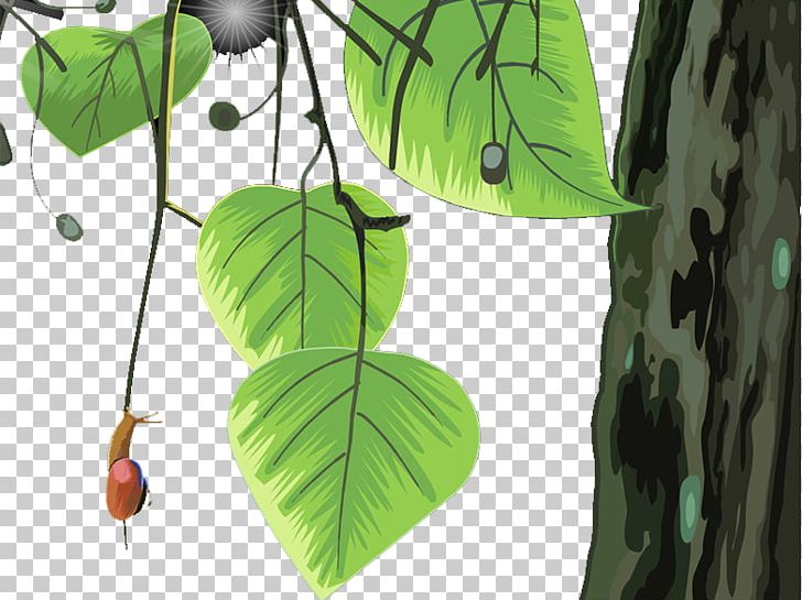 Leaf Branch Landscape Tree PNG, Clipart, Arecaceae, Autumn Tree, Branch, Christmas Tree, Coconut Free PNG Download