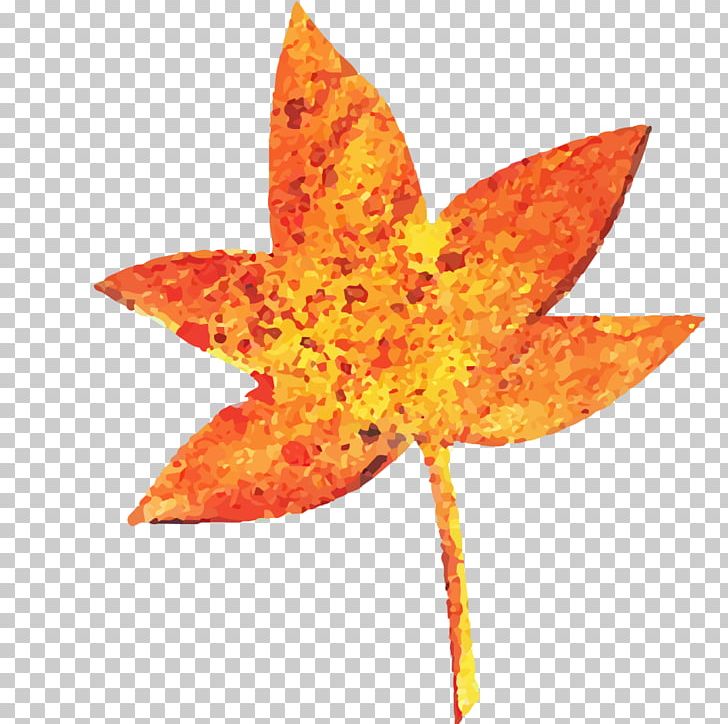 Maple Leaf Red Maple PNG, Clipart, Autumn, Autumn Leaf, Chinese, Chinese Style, Deciduous Free PNG Download
