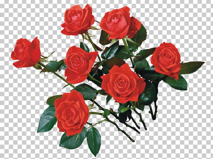 Beach Rose Flower Garden Roses Painting PNG, Clipart, Artificial Flower, Blume, Cut Flowers, Desktop Wallpaper, Floral Design Free PNG Download