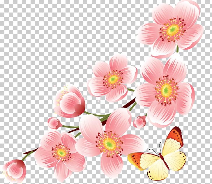 Cherry Blossom PNG, Clipart, Blossom, Cherry, Cherry Blossom, Chrysanths, Clip Art Free PNG Download