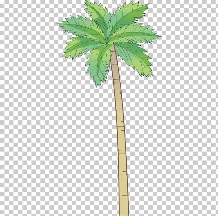 Arecaceae Coconut Tree PNG, Clipart, Arecales, Christmas Tree, Coconut, Download, Encapsulated Postscript Free PNG Download