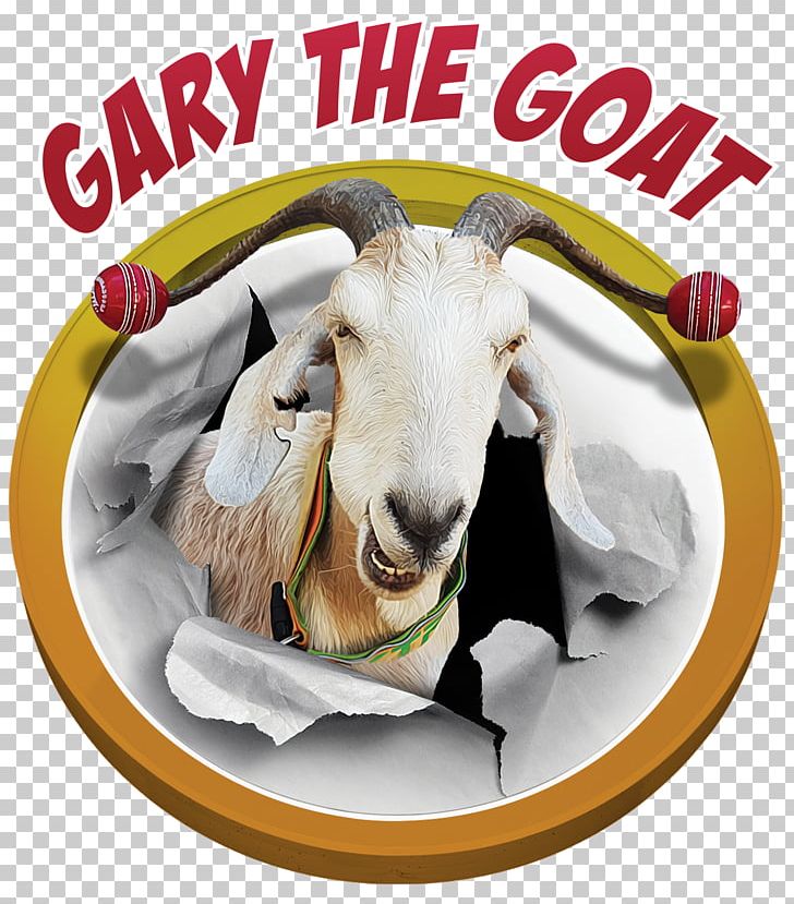 Gary The Goat Sheep Ahuntz T-shirt PNG, Clipart, Ahuntz, Animals, Australia, Barrel, Cart Free PNG Download
