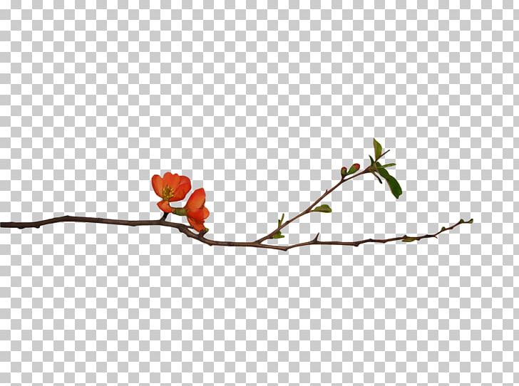 Flower Blog PNG, Clipart, Author, Blog, Blossom, Branch, Bud Free PNG Download