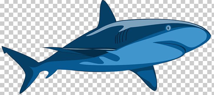 Shark Jaws Whale Shark PNG, Clipart, Animals, Blue Shark, Cartilaginous Fish, Cobalt Blue, Dolphin Free PNG Download