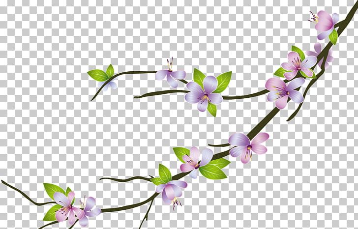 Cherry Blossom PNG, Clipart, Blossom, Branch, Cherry Blossom, Encapsulated Postscript, Flora Free PNG Download