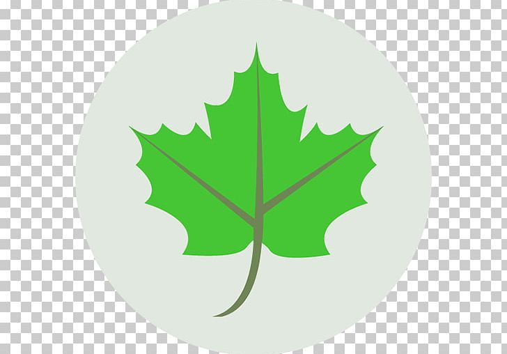 Leaf Computer Icons NuGet PNG, Clipart, Box, Buxus Sempervirens, Computer Icons, Description, Green Free PNG Download