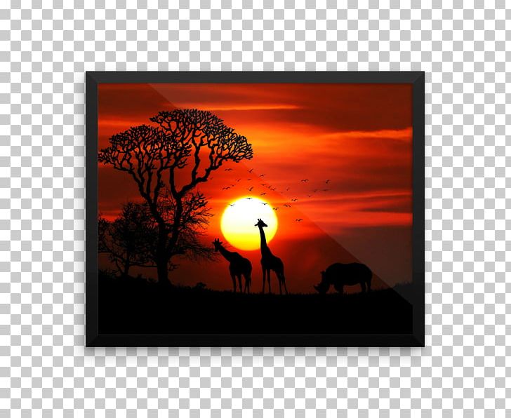 Rhinoceros Dog Animal Giraffe Bird PNG, Clipart, 4k Resolution, 8k Resolution, Animal, Bird, Desktop Wallpaper Free PNG Download