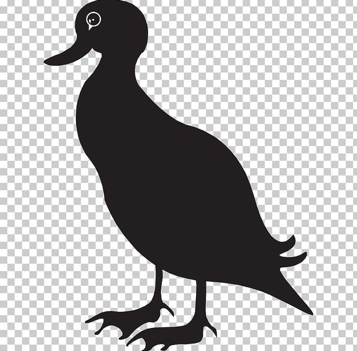 Duck Mallard Goose PNG, Clipart, American Black Duck, American Pekin, Animals, Beak, Bird Free PNG Download