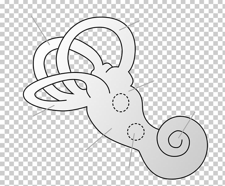 Inner Ear Vestibule Of The Ear Saccule Bony Labyrinth PNG, Clipart, Angle, Black, Cartoon, Eye, Face Free PNG Download