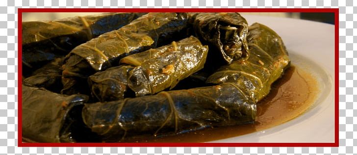 Sarma Dolma Stuffed Peppers Kofta Meatball PNG, Clipart, Animal Source Foods, Cabbage Roll, Chard, Common Beet, Dish Free PNG Download