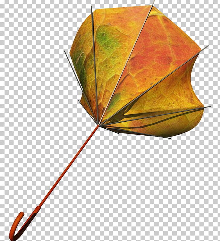 Umbrella Icon PNG, Clipart, Adobe Freehand, Advertising, Designer, Download, Google Images Free PNG Download