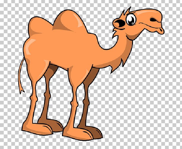 Bactrian Camel Cartoon PNG, Clipart, Animal Figure, Animation, Arabian Camel, Art, Bactrian Camel Free PNG Download