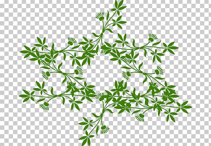 Flower PNG, Clipart, Animation, Branch, Download, Flora, Flower Free PNG Download
