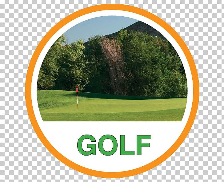 Golf Balls Golf Course Golf Clubs Trávní PNG, Clipart, Area, Brand, Desktop Wallpaper, Display Resolution, Golf Free PNG Download